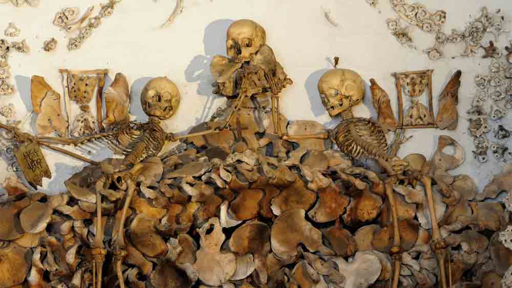 ‘মৃতদের জাদুঘর’-এ যে শিশুদের মমি রয়েছে, জীবিত অবস্থায় তাদের শরীরস্বাস্থ্য কেমন ছিল? বেড়ে ওঠার বিষয়ে তথ্য বা নামপরিচয় নিয়েও বিশেষ কিছু প্রকাশ্যে আসেনি বলে জানিয়েছেন গবেষকেরা। স্কুইরেসের দাবি, আগামী দু’বছর ধরে এ সমস্ত তথ্য জানার চেষ্টা করবেন তাঁরা। যদিও গবেষণার আগেই তাঁর ধারণা, ওই শিশুরা অভিজাত পরিবারের সদস্য। যদিও কিসের ভিত্তিতে তিনি এ দাবি করছেন, তা নিয়ে বিশেষ কিছু খোলসা করেননি স্কুইরেস।