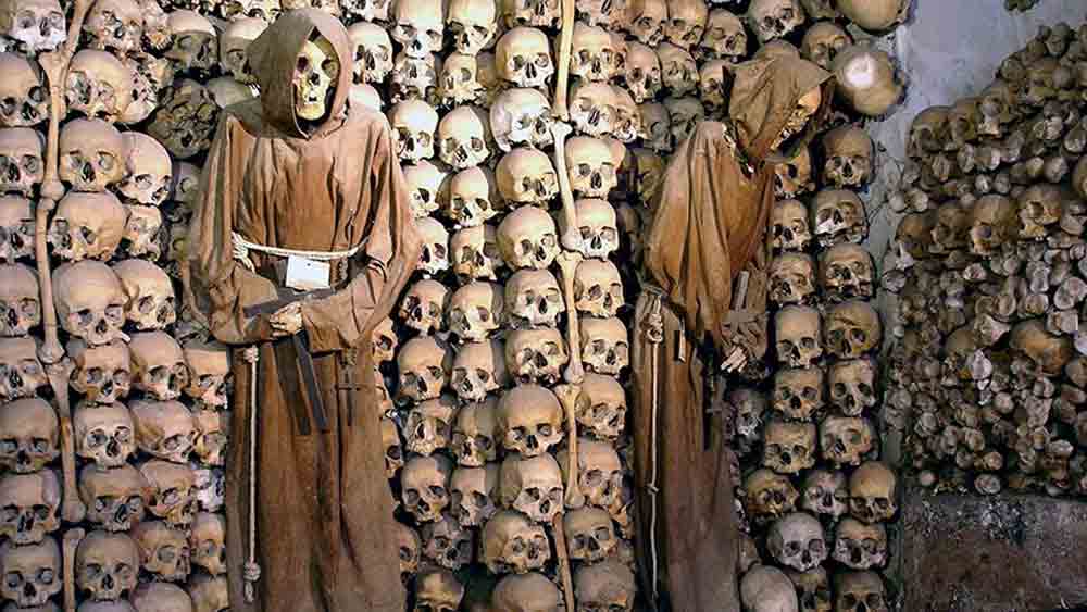 কী ভাবে শিশুদের মমি পরীক্ষা করা হবে, সে বিষয়েও আলোকপাত করেছেন স্কুইরেস। তিনি জানিয়েছেন, ময়নাতদন্ত বা কাটাছেঁড়ার পরিবর্তে অন্য ভাবে মমিগুলির দেহাংশ বিশ্লেষণ করা হবে। মোট ৫৭৪টি রেডিয়োগ্রাফের মাধ্যমে প্রতিটি মমির ডিজিটাল ইমেজ তোলা হবে। একেবারে পায়ের আঙুল থেকে মাথা পর্যন্ত। এ ভাবে ১৬৩টি মমির মধ্যে ঊনবিংশ শতকের ৪১টি শিশুর মমির পরীক্ষা করা হবে।