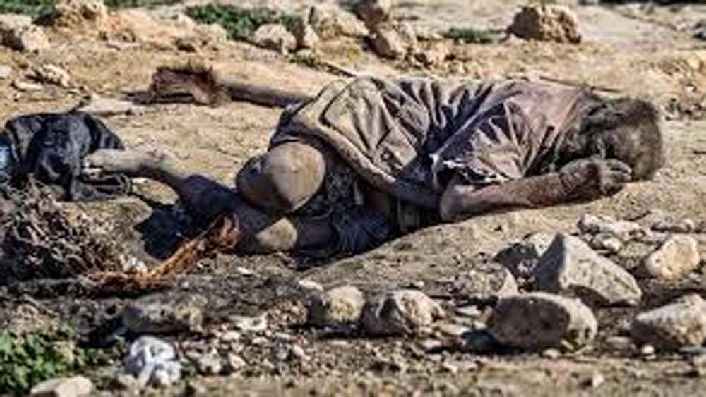 হাজির জীবনযাপন একটু ‘আলাদা’ মনে হচ্ছে? ইরানের সংবাদমাধ্যমের দাবি, যৌবনে মনে ব্যথা পাওয়ার পর থেকেই জনশূন্য জায়গায় বসবাস শুরু করেন তিনি। নিজের যাপনও বদলে ফেলেন বৃদ্ধ!