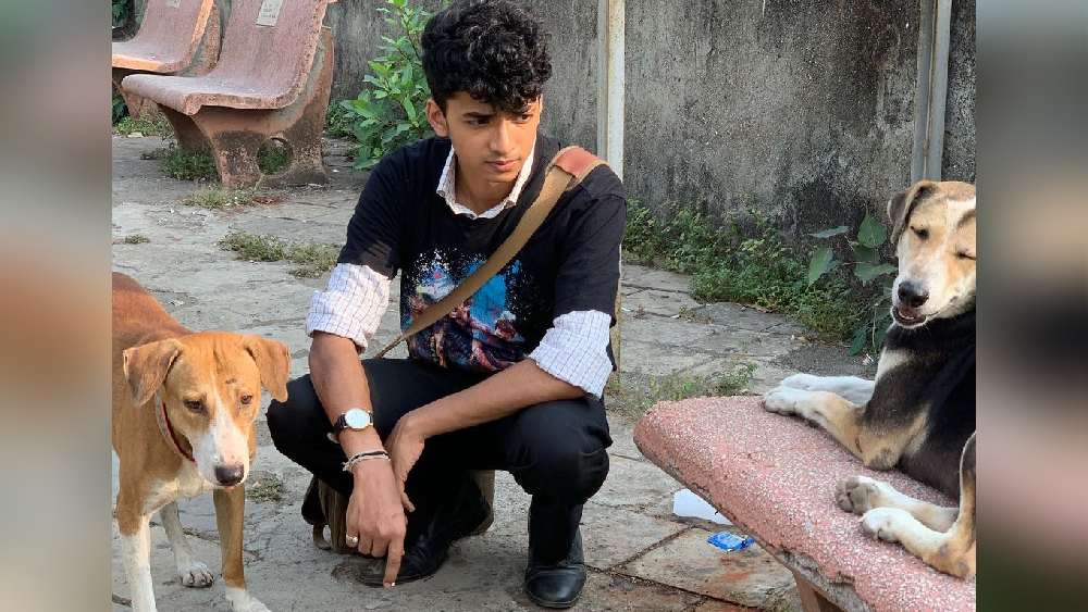 সংস্থার জুনিয়র কর্মী। রাতের ডিউটিই থাকত বেশি। সদ্য স্নাতক হয়ে চাকরিতে যোগ দেওয়া ছেলেটি কাজের ফাঁকে রাস্তার কুকুরদের দেখভাল করতেন। সেই সময়েই শান্তনু খেয়াল করেন তাঁর অফিস চত্বরে প্রায়ই কিছু কুকুর গাড়ি চাপা পড়ে মারা যায়। ঘটনাগুলি ঘটে মূলত রাতের দিকেই।