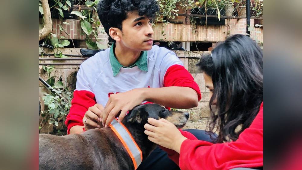 স্বভাবে পশুপ্রেমী জুনিয়র ইঞ্জিনিয়ার ঠিক করেন এর সমাধান করবেন। প্রথমে পথচলতি গাড়ির চালকদের সঙ্গে কথা বলতে শুরু করেন শান্তনু। জানা যায়, রাতে গাড়ি চালানোর সময় কুকুরগুলিকে চট করে দেখতেই পান না চালকরা। ফলে দুর্ঘটনা ঘটতে থাকে।