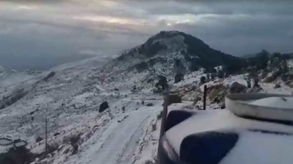 বরফে আচ্ছন্ন ঘুম, আবহাওয়ার আচমকা বদল, তুষারপাতে দার্জিলিং জমজমাট