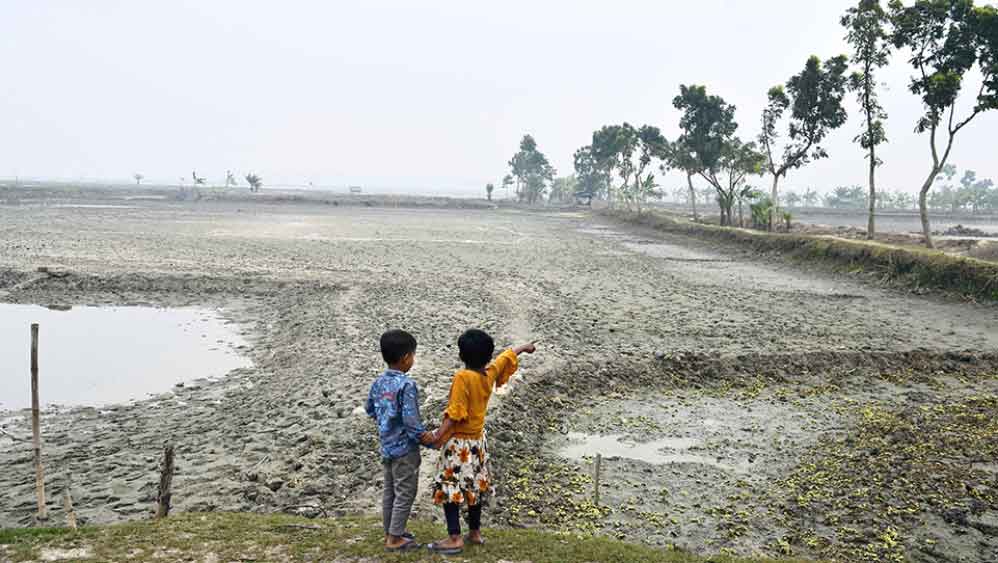 ভাঙড় বিমানবন্দরের জন্য প্রস্তাবিত সেই জমি।  