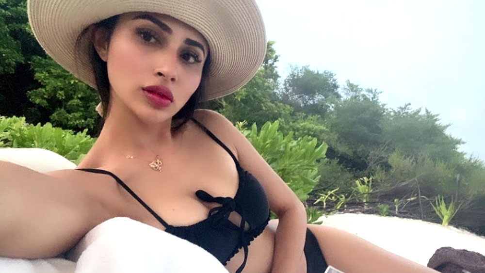 কী ভাবে দেখা হল তাঁদের? মৌনী এবং সূরজের বন্ধু মন্দিরা বেদী। তাঁর বাড়িতেই প্রথম দেখা। এবং প্রেমের সূত্রপাতও।  