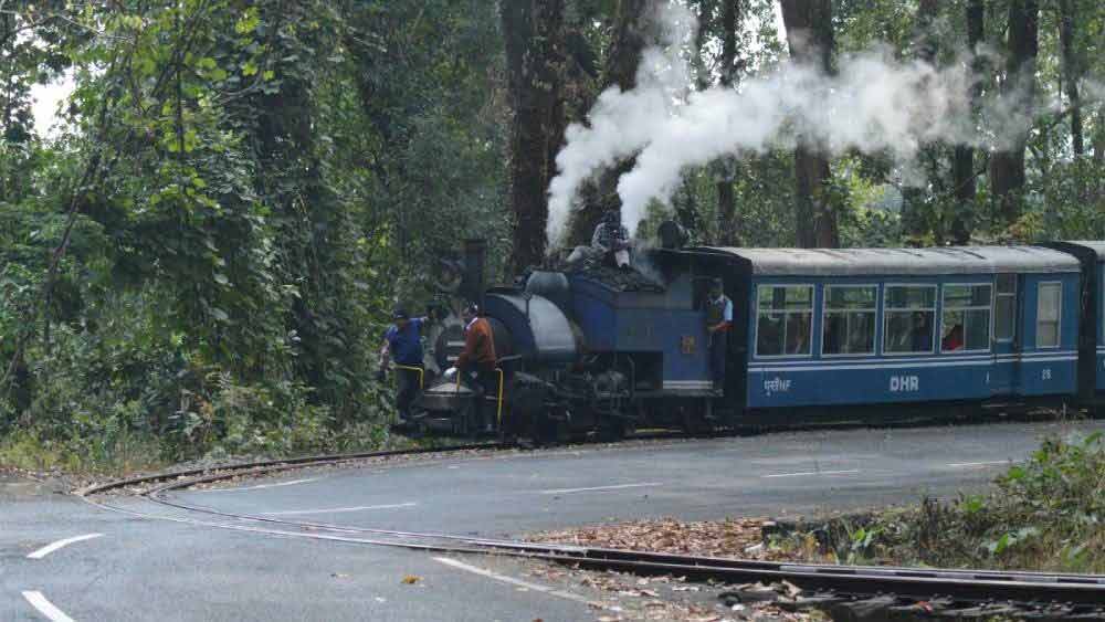 জঙ্গলের পথে টয় ট্রেন।