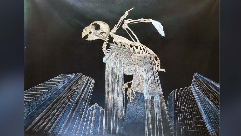 ৯০০ জনের মধ্যে সেরা ১২ জনকে বেছে নেবেন বিচারকরা। 