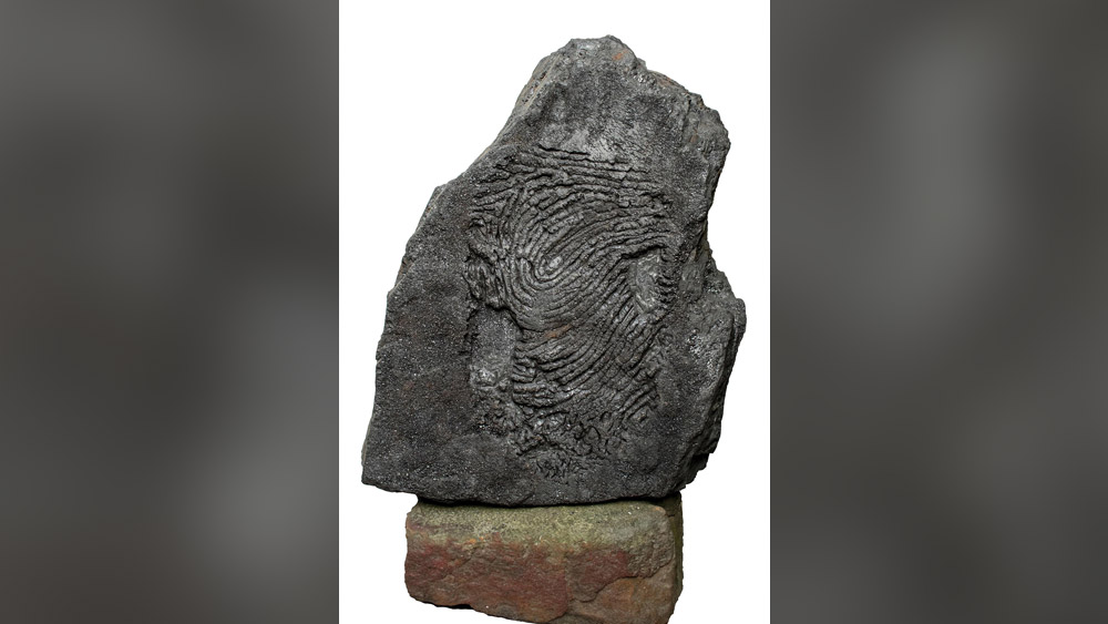  গোটা দেশের বিভিন্ন প্রান্ত থেকে প্রতিযোগিতায় অংশ নেন শিল্পীরা। 