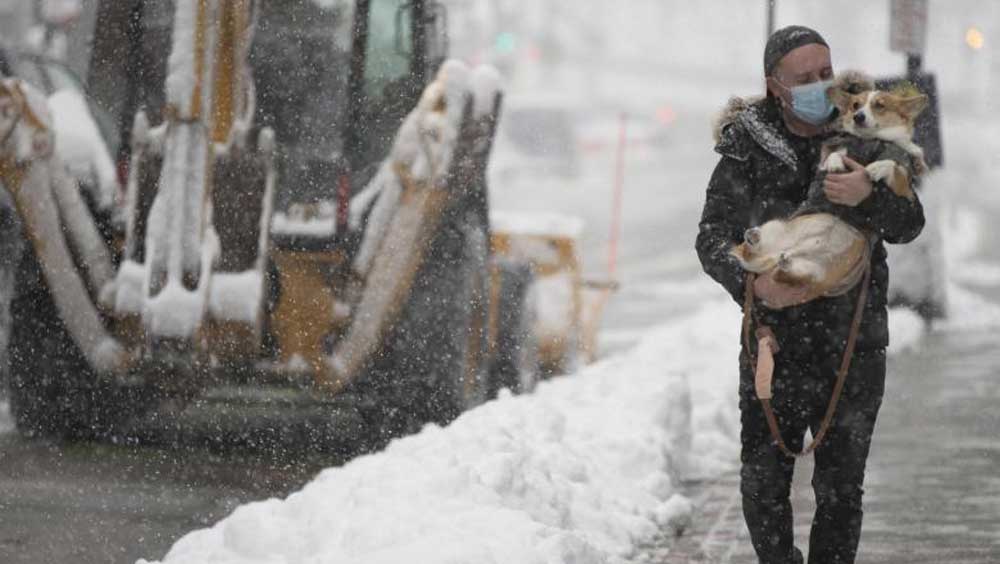 এ বার ‘বম্ব সাইক্লোন’-এ সবচেয়ে বেশি ভুক্তভোগী আমেরিকার উত্তর-পূর্ব অংশ। হিমাঙ্কের নীচে নেমে গিয়েছে তাপমাত্রা। তার উপর প্রবল শীতল হাওয়ার দাপাদাপি।