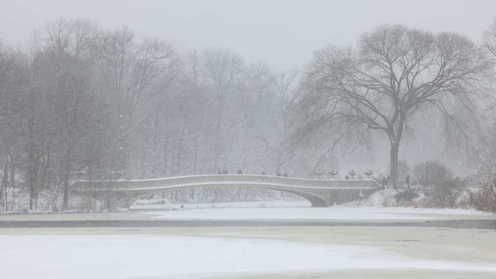 ম্যাসাচুসেটসের গভর্নর ক্যারিন পলিটো জানান, এই মারাত্মক ঠান্ডায় যে বাসিন্দাদের বাড়িতে বিদ্যুৎ পরিষেবা নেই, তাঁদের জন্য আশ্রয় শিবির তৈরি করা হচ্ছে। 