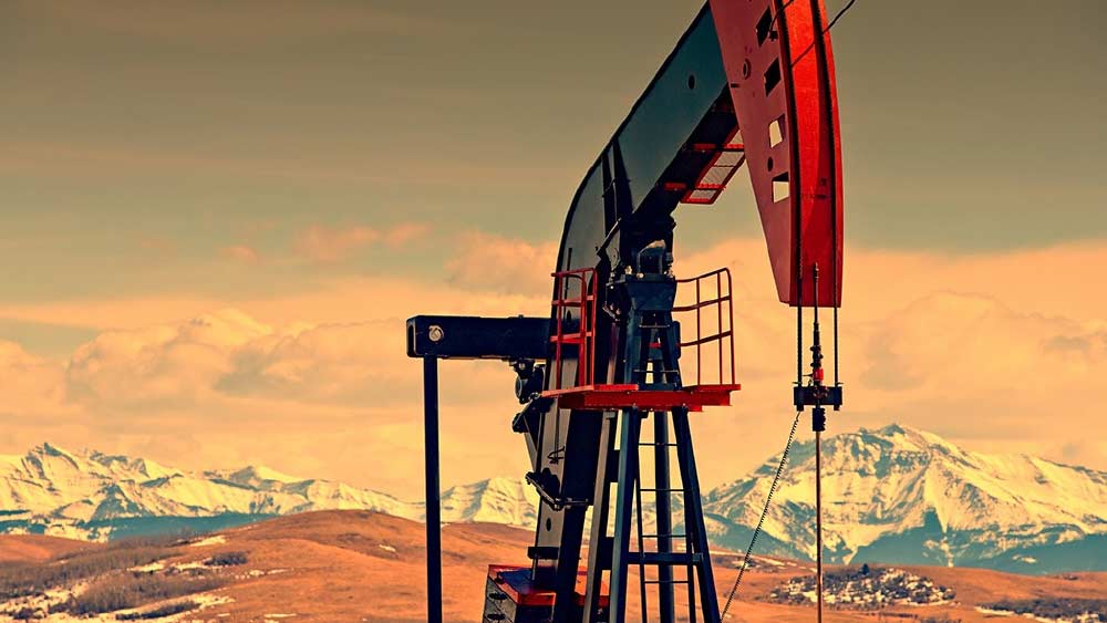 তবে সবাই যে নিষেধাজ্ঞা অমান্য করেছে, তা নয়। রাশিয়া থেকে জ্বালানি ক্রয় পুরোপুরি বন্ধও করে দিয়েছে কিছু দেশ।