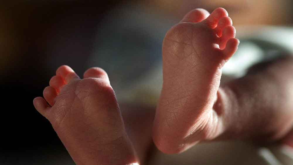 পুলিশের রাতের ঘুম কেড়ে নিয়েছিল এই খুদে। দেখা গিয়েছে, এক বছরের কম বয়সি শিশুদেরকেই নিশানা করত সে।