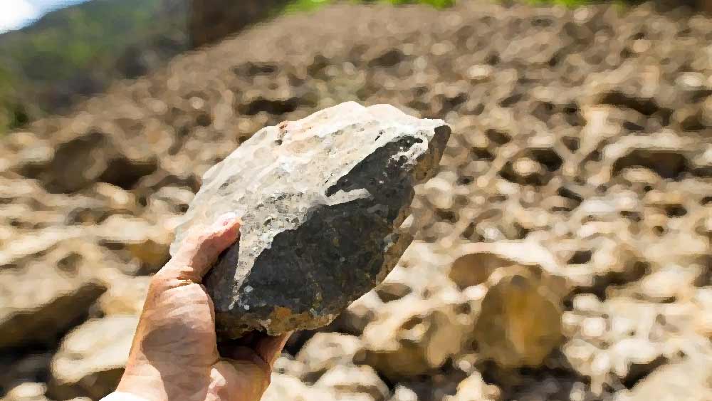 বিস্কুটে কামড় দিয়ে অমরজিৎ জানিয়েছিল, বাচ্চাদের প্রথমে ফাঁকা জায়গায় নিয়ে গিয়ে ইট দিয়ে মুখে মারে সে। যত ক্ষণ না মৃত্যু হচ্ছে, তত ক্ষণ ইট দিয়ে মারতে থাকে সে। মৃত্যু নিশ্চিত হওয়ার পর পাতা, মাটি দিয়ে দেহ ঢেকে দেয়। 