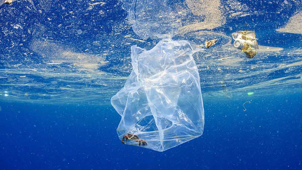  এ বার প্লাস্টিক নিষেধাজ্ঞা বলবৎ করতে কড়াকড়ি সরকার। ঘোষণা হয়েছে, নিষেধাজ্ঞা অগ্রাহ্য করে ‘সিঙ্গল ইউজ প্লাস্টিক’ ব্যবহার করলে পরিবেশ সুরক্ষা আইন (ইপিএ)-এর ১৫ অনুচ্ছেদ অনুযায়ী জেল কিংবা জরিমানা, অথবা দুই-ই হতে পারে।