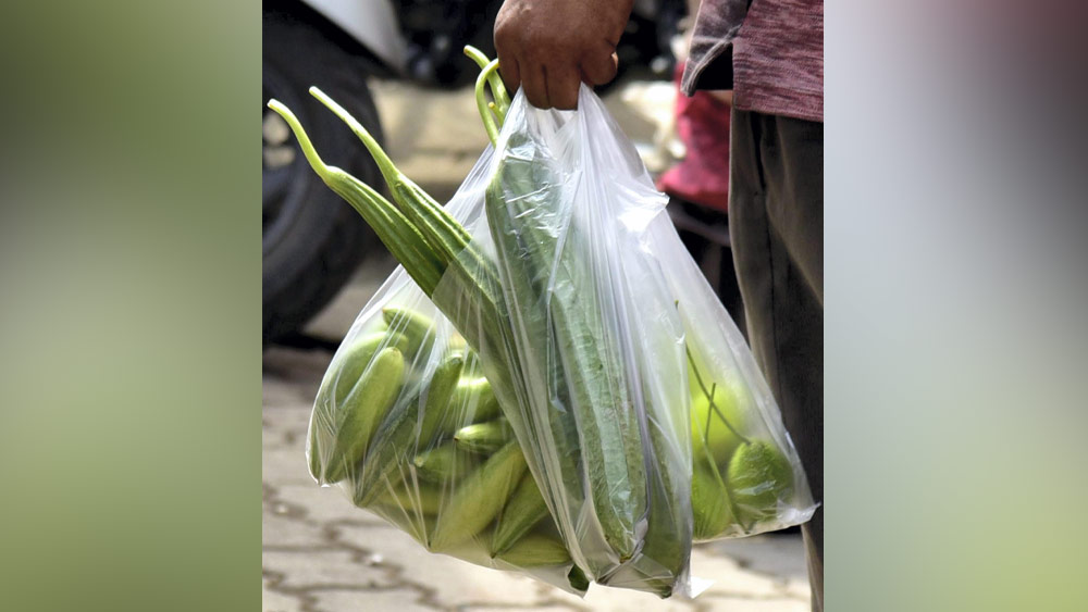  তা হলে প্লাস্টিক তৈরি করে যে সব কারখানা সেগুলোর কী হবে?