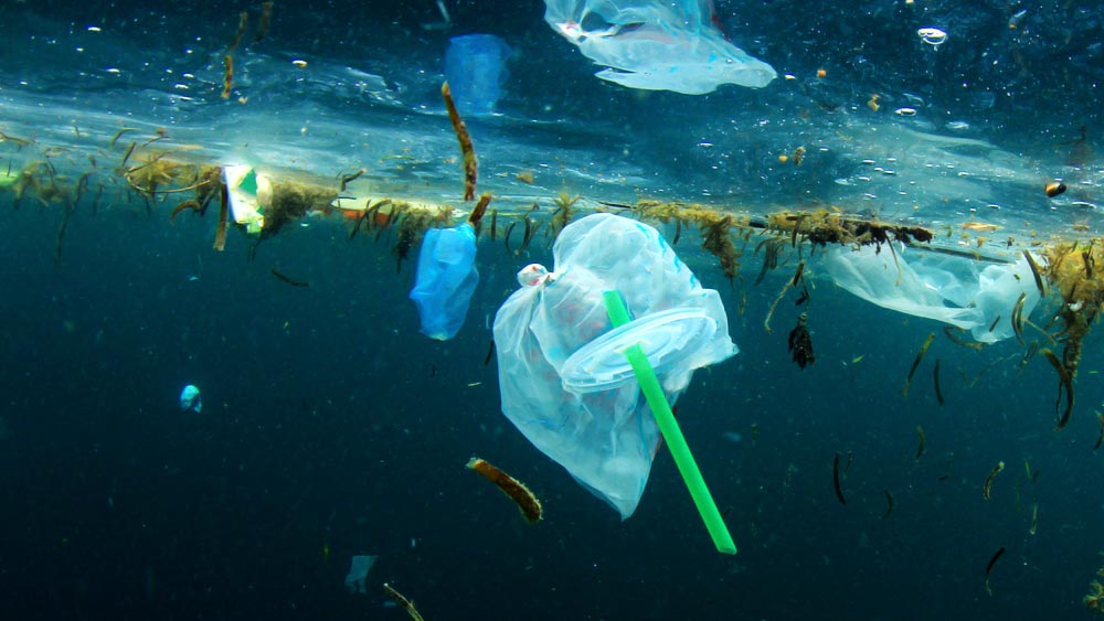 গত বছরের ১২ অগস্ট একটি নির্দেশিকায় কেন্দ্র ‘পলিস্টিরিন’ এবং ‘এক্সপ্যান্ডেড পলিস্টিরিন’-সহ ‘সিঙ্গল ইউজ প্লাস্টিক’  পণ্যের উৎপাদন, আমদানি, মজুত, বিতরণ, বিক্রয় এবং ব্যবহার নিষিদ্ধ করা হয়।