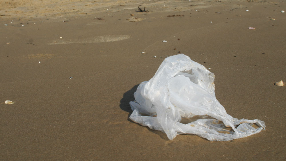  পদক্ষেপ করা হয়েছে কলকাতাতেও। বিভিন্ন পুরসভা এলাকায় মাইকিং করে জনগণকে সচেতন করেছে। বাড়ি বাড়ি লিফলেটও বিলি করা হয়েছে।