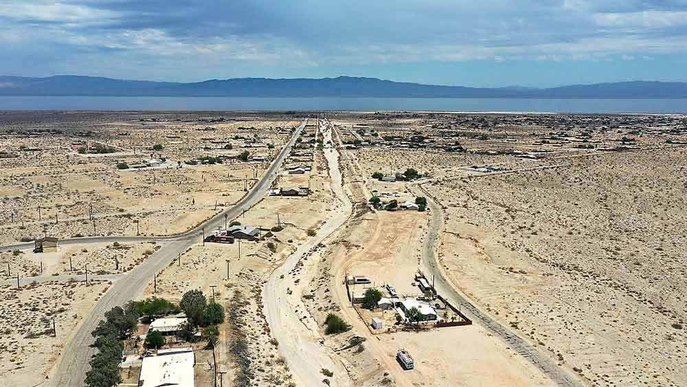 যে গাছগুলি এখনও বেঁচে আছে, আগামিদিনে তারা জলবায়ু পরিবর্তনের ফলে শুষ্ক এবং উত্তপ্ত পৃথিবীতে কী ভাবে বেঁচে থাকবে, সেটা এখন বড় প্রশ্ন।