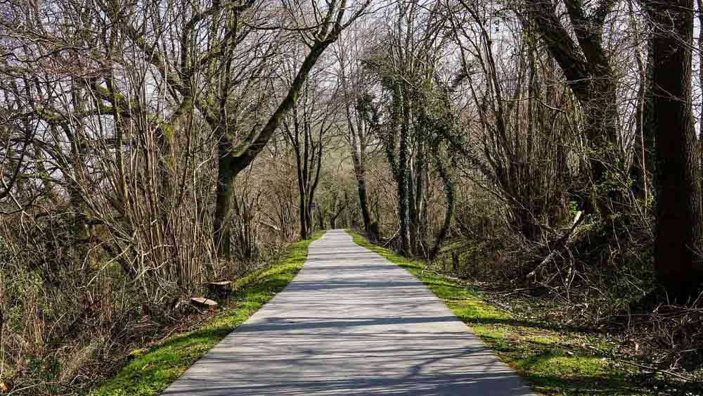  কিন্তু এর বিরোধিতা করে বেলজিয়াম। তাদের পক্ষ থেকে বলা হয় যে, এলাকাটি তাদের হাতে তুলে দেওয়া হয়েছে। ফলে এই এলাকায় অবস্থিত যাবতীয় নির্মাণের উপর তাদের সার্বভৌম অধিকার রয়েছে।