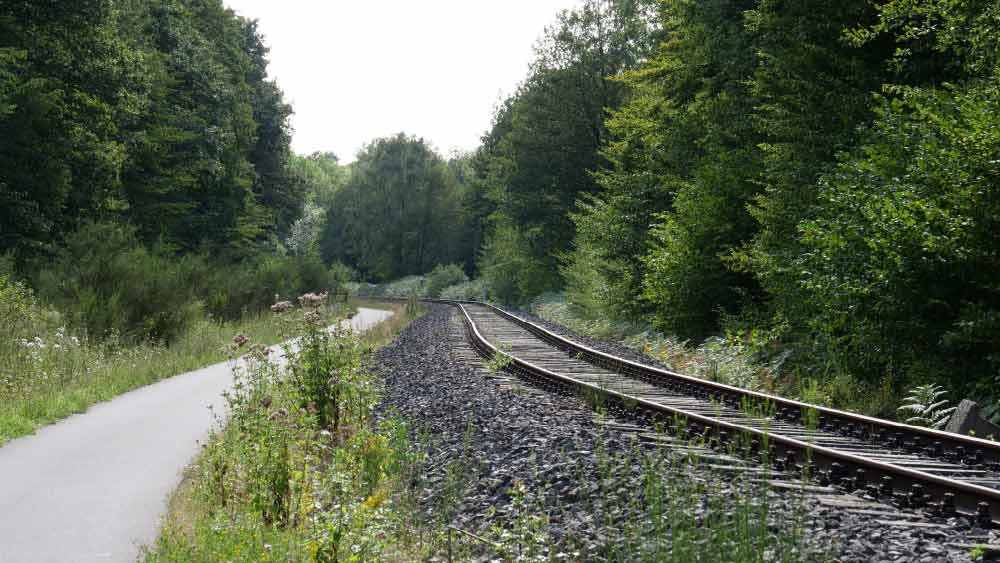রেলপথের দু’দেশের বাসিন্দাদের জন্য কর ছাড়ের ব্যবস্থা ছিল।