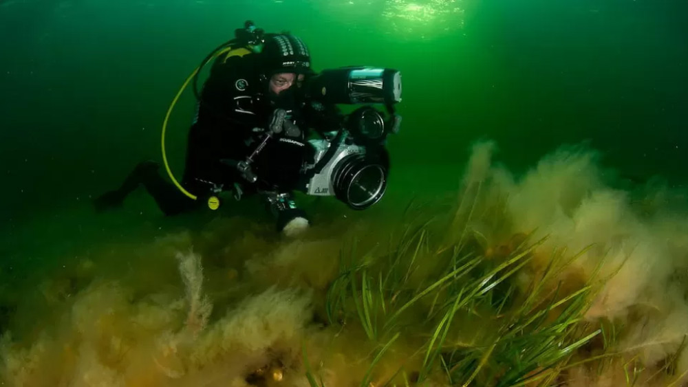 ২০২০ সালের নভেম্বরে বাল্টিক সাগরে রুটিনমাফিক ডাইভিং করছিলেন মাইকেল সোয়াট। তখন আচমকা সমুদ্র-তলদেশে তিনি টাইপরাইটার জাতীয় একটি যন্ত্র দেখতে পান।