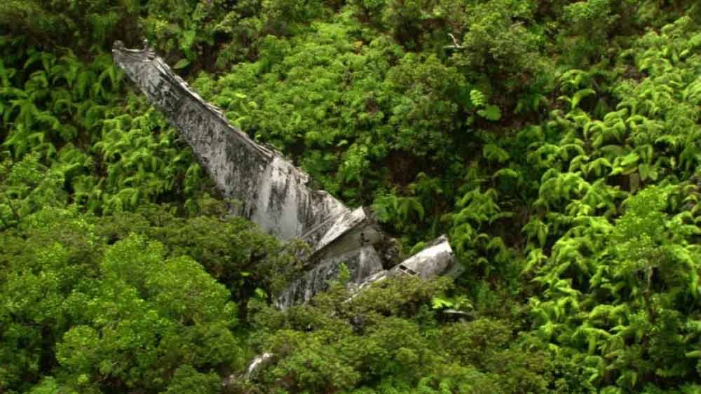  যদিও জখম শরীর, পাঁজরের বেশ কয়েকটি ভাঙা হাড় এবং শরীরের অন্য আঘাত নিয়ে পাভেল ওই জঙ্গলে কী ভাবে ১০ দিন বেঁচে রইলেন, তা ভেবে অবাকই হয়েছেন তাঁর উদ্ধারকারীরা। 