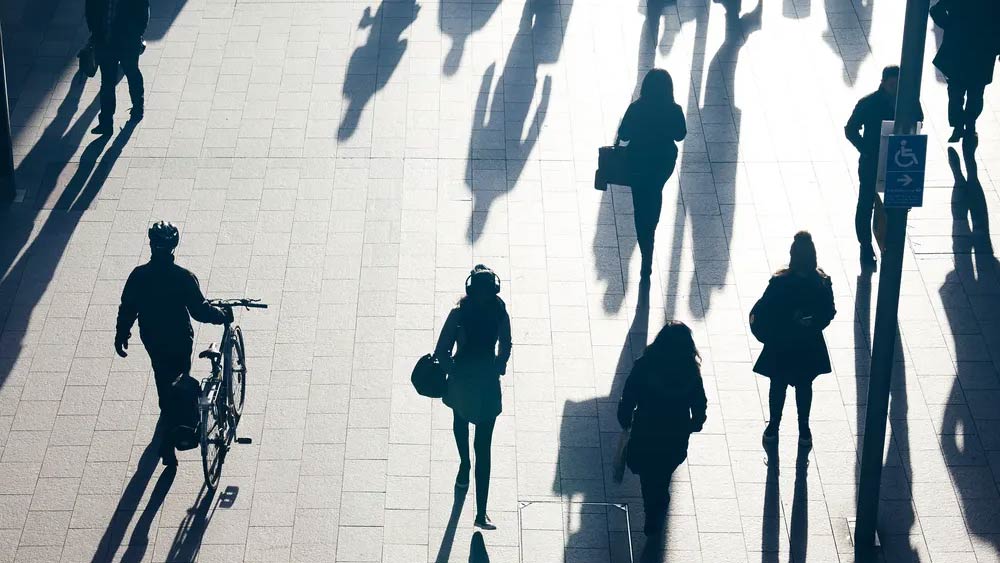 প্রতিবেশীদের মারফত খবর পেল প্রশাসন। লাগানো হল লোক। যাঁরা গোপনে ফ্রান্সেসের গতিবিধি নজর করতে শুরু করলেন।