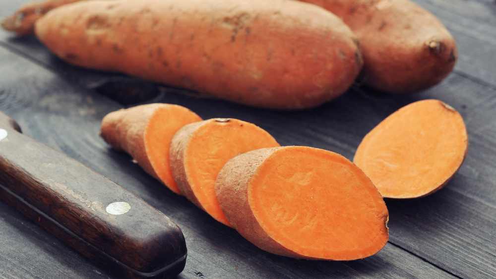 প্রতীকী ছবি।