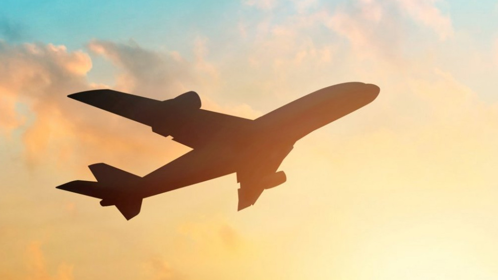 এ ভাবে টুকটাক কাছেপিঠে বেড়াতে যেতেন। এ ভাবেই বিদেশ ভ্রমণের ইচ্ছে মাথাচাড়া দেয় মলির।