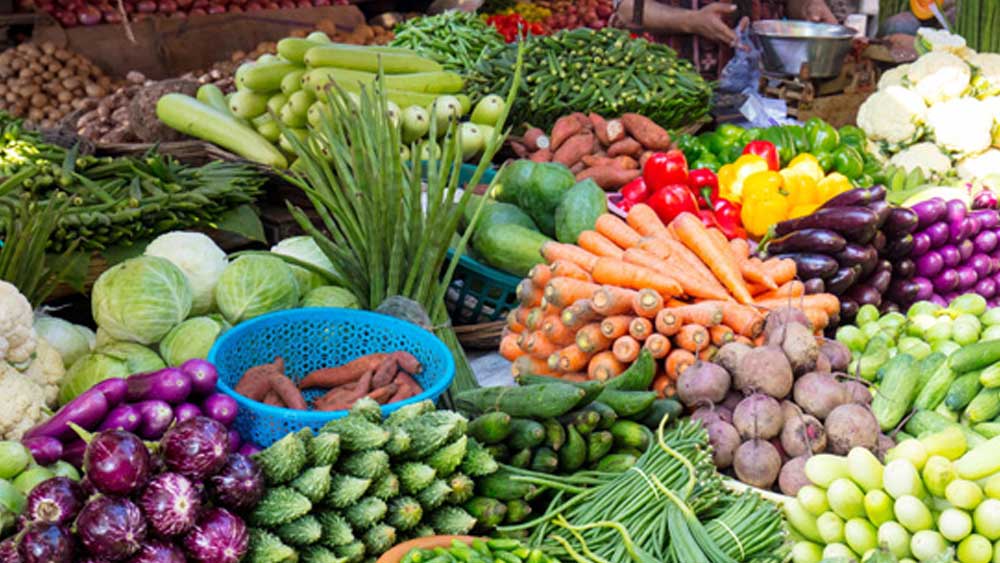 কিন্তু মলি থামতে চান না। এই বয়সে রোজ দোকান খোলেন। ব্যবসা করেন। আর কাজের ফাঁকে চোখ বুলিয়ে নিলেন ভ্রমণ পত্রিকায়। সেখান থেকেই ঠিক করে নেন, পরের বার কোথায় বেড়াতে যাবেন।