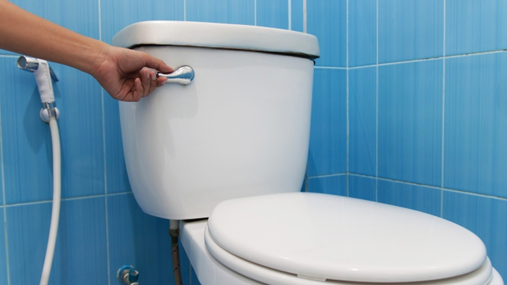 রাত দশটার পর কোনও সুইৎজারল্যান্ডবাসী শৌচালয়ে গেলেও ‘টয়লেট ফ্লাশ’ ব্যবহার করতে পারবেন না। রাতে সেই আওয়াজটুকুও শব্দদূষণের আওতায় পড়ে বলে এই নিয়ম চালু করা হয়েছে।