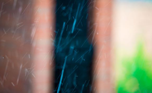 মেলবোর্নে বারি ধারা, ছবি: অভ্র পাল