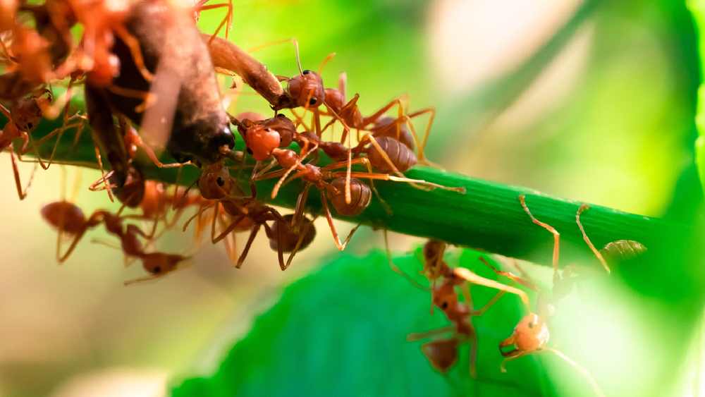 প্রতীকী ছবি।