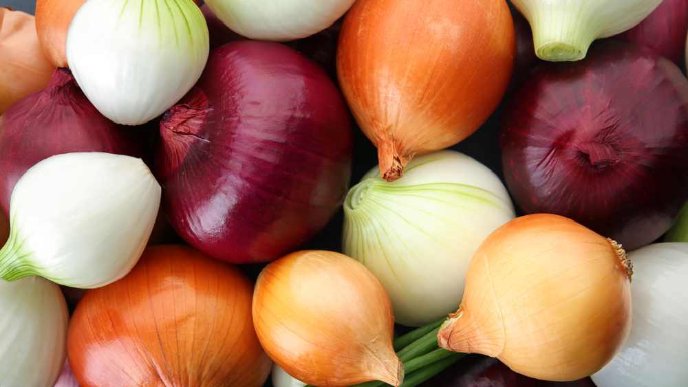 প্রতীকী ছবি।