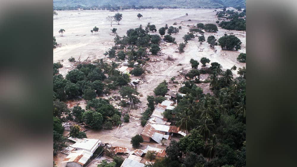 লাহারের স্রোত যখন তাদের বাড়িতে আঘাত হানে, তখন বাড়ির বাকি সদস্যদের সঙ্গে ওমায়রাও ধ্বংসস্তূপের নীচে আটকে পড়ে।