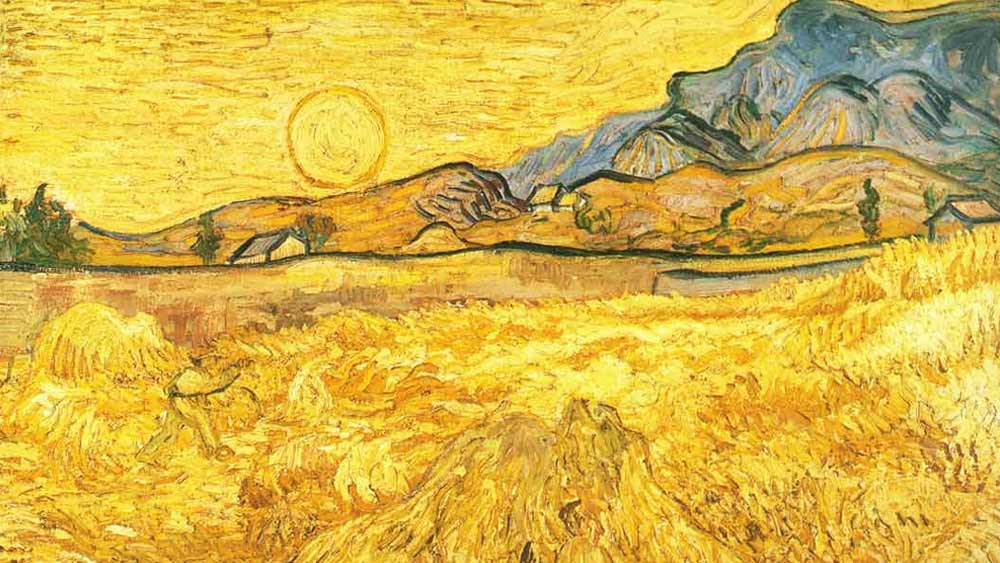 তিনি বলেন, ‘‘যখন আমরা প্রথম বার এই এক্স-রে দেখি তখন সবাই খুব উত্তেজিত হয়ে পড়ি। এটি একটি উল্লেখযোগ্য আবিষ্কার।’’