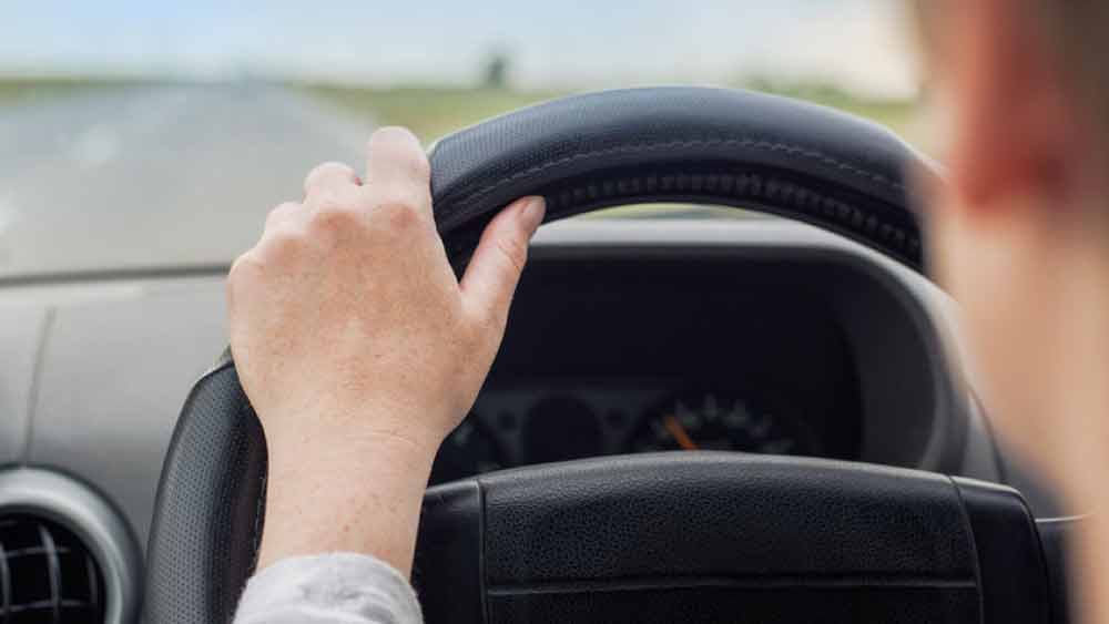 ১৯৭২ সাল থেকে কানাডায় বসবাস শুরু করেছিলেন মালিক। সে বছর থেকেই ট্যাক্সিচালক হিসাবে রোজগার করতে থাকেন। পরে ব্যবসায়ী হিসাবেও নাম করেন। ব্যবসার পাশাপাশি কানাডায় বসবাসকারী শিখ সম্প্রদায়ের জন্য খালসা ক্রেডিট ইউনিয়ন (কেসিইউ) নামে এক সংগঠনও খুলেছিলেন মালিক। 