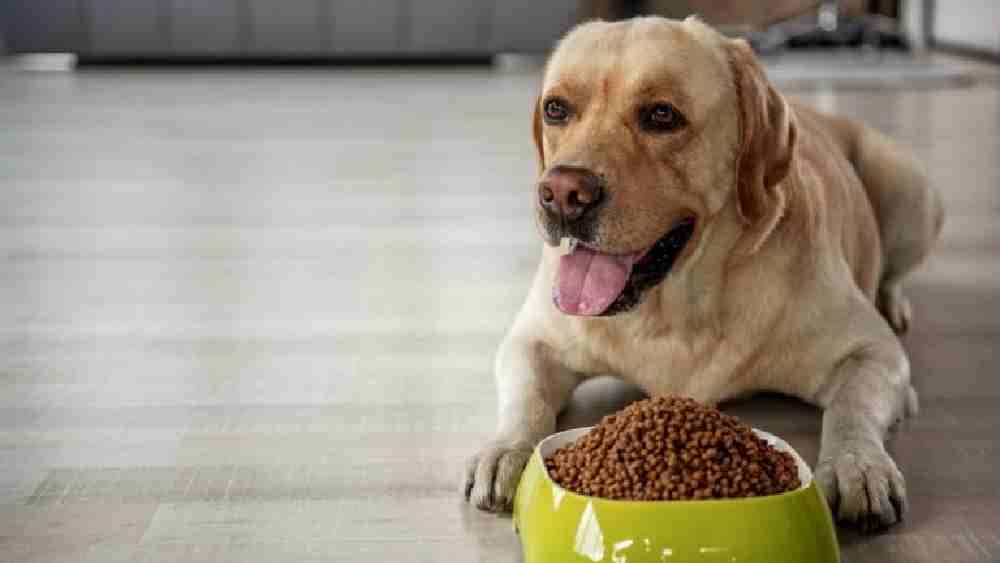 প্রতীকী ছবি 