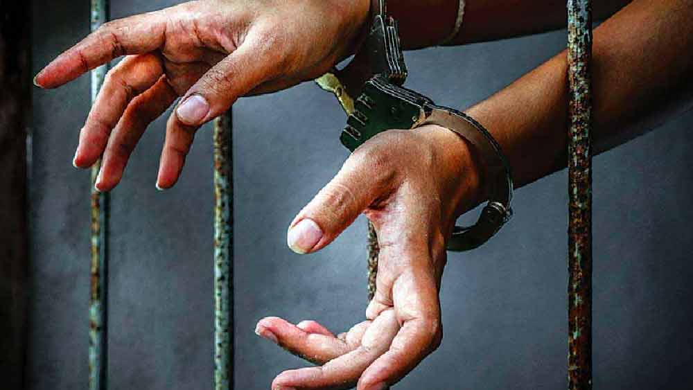 রাহুল জানান, প্রেমিকা কোমল এবং দাদা রোহিত তাঁর সঙ্গে বিশ্বাসঘাতকতা করেছেন। তিনি আগে জানলে এই হত্যাকাণ্ডে কখনও মদত জোগাতেন না বলেও পুলিশের কাছে হা-হুতাশ করেন রাহুল।