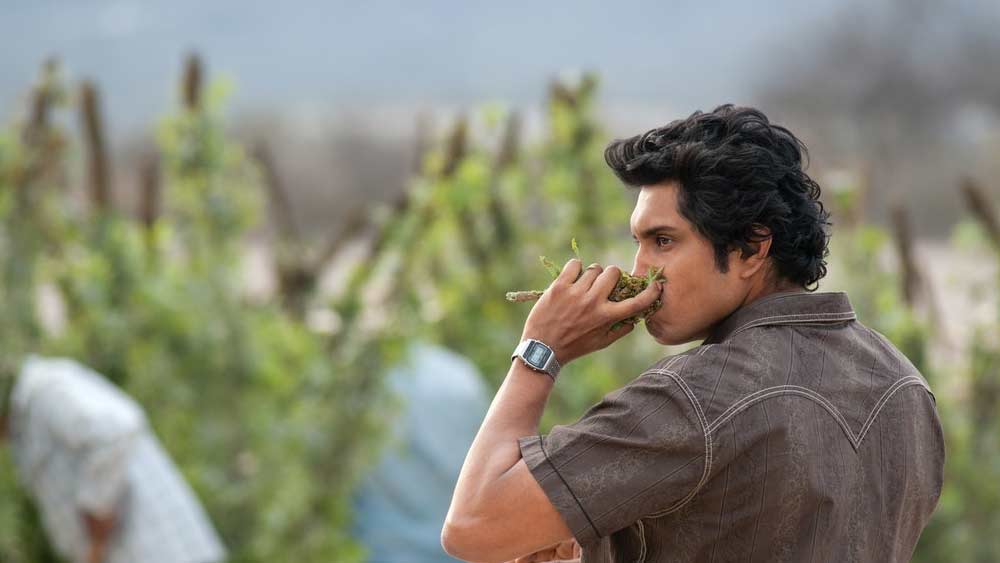 মেক্সিকার নৌবাহিনীর তরফে জানানো হয়েছে, ৬৯ বছর বয়সি ওই মাদক কারবারের চাঁই একটি ঝোপের মধ্যে লুকিয়ে ছিলেন। বিশেষ প্রশিক্ষিত কুকুরের সাহায্যেই তাঁকে হাতেনাতে ধরা হয়। 