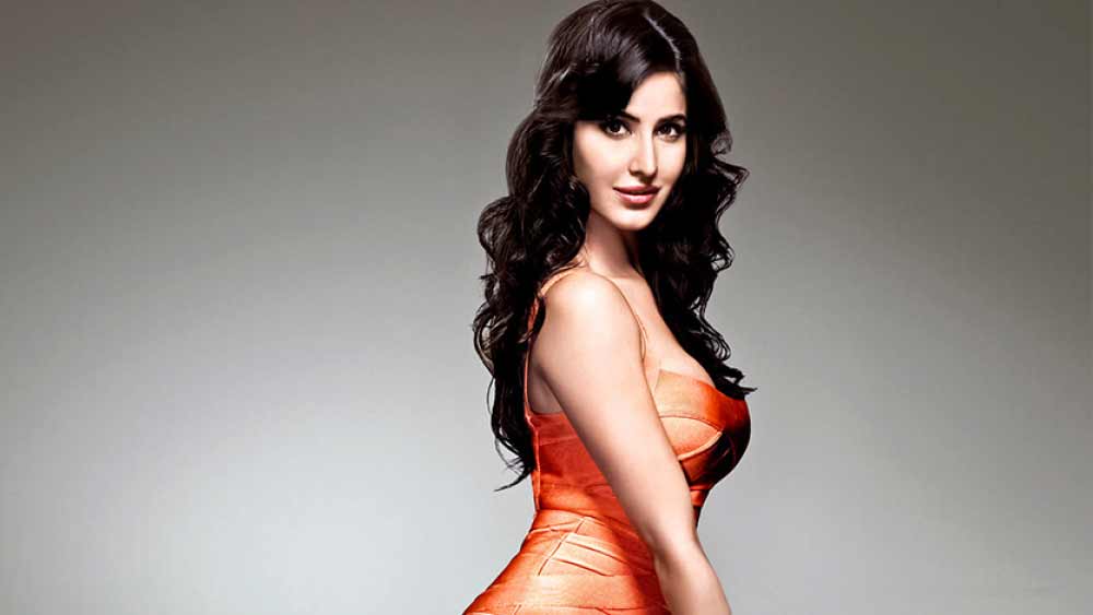 ২০০৩ সালে ‘বুম’ সিনেমার মাধ্যমে ‘লাইট-সাউন্ড-ক্যামেরা-অ্যাকশন’-এর জগতে হাতেখড়ি। যদিও বক্স অফিসে মুখ থুবড়ে পড়ে এই ছবি।