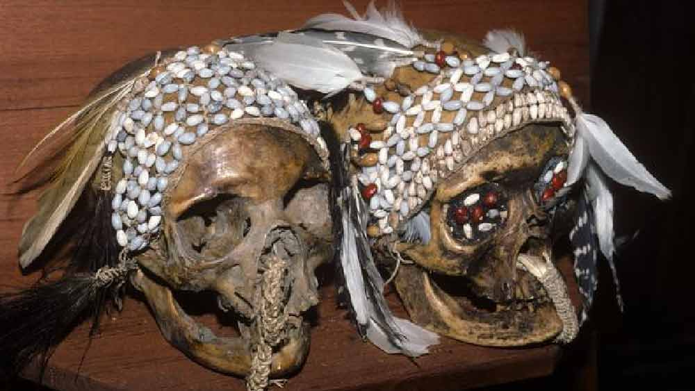 আসমতিরা প্রথমে কাটা মাথার বাইরের অংশের চামড়া কেটে বাদ দিয়ে দেন। এর পর উনুনে রেখে ভাজা হয় মাংসযুক্ত ওই খুলি।