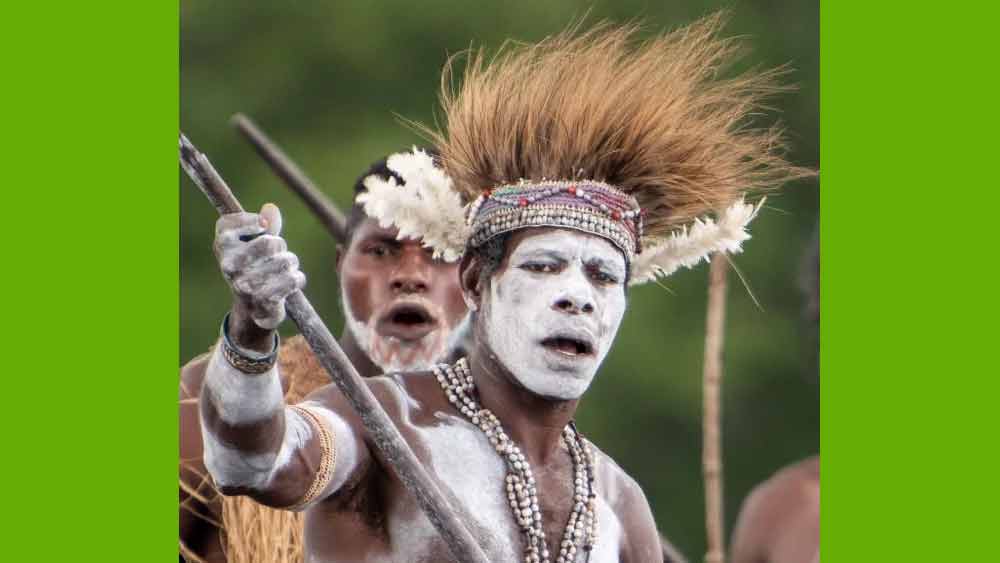 বিভিন্ন প্রাণীর মস্তিষ্ক এবং সাগো কৃমিই আসমত উপজাতির প্রধান খাদ্য।