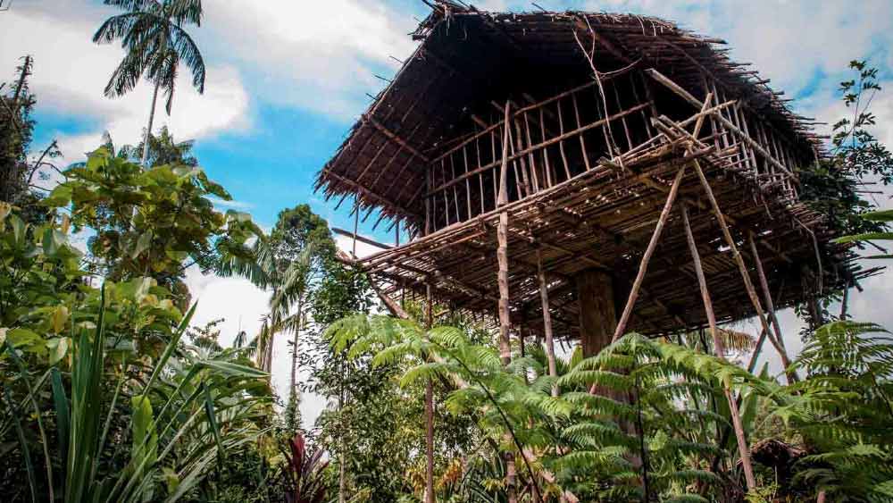 পরে তাঁর পরিবারের তরফে এক জন গোয়েন্দাকে সেই এলাকায় তদন্তের জন্য পাঠানো হলে এই উপজাতির কিছু মানুষ তাঁকে জানান যে, তাঁরা সম্প্রতি এক জন শ্বেতাঙ্গকে মেরেছেন। এর পর ওই গোয়েন্দা তিনটি খুলি নিয়ে সেই জায়গা থেকে আমেরিকা ফিরে আসেন। এই খুলির মধ্যে একটি খুলি আসমত উপজাতির সদস্যদের দ্বারা হত্যা করা ওই শ্বেতাঙ্গের ছিল।