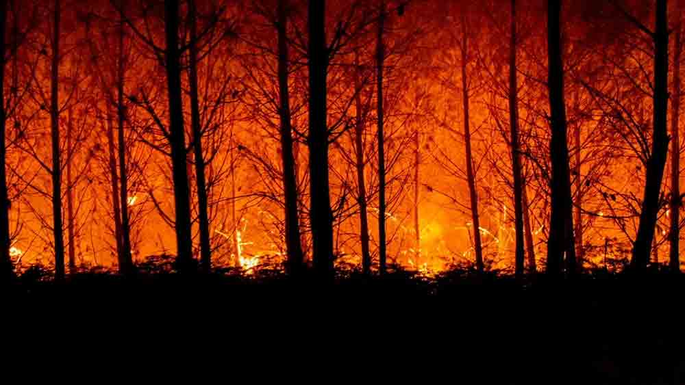 এখনও পর্যন্ত পতুর্গাল, স্পেন, ফ্রান্স, গ্রিসের মতো ইউরোপীয় দেশে দাবানলে ভস্মীভূত হাজার হাজার একর। উত্তর আফ্রিকার মরক্কোর একাংশেও জ্বলছে আগুন।