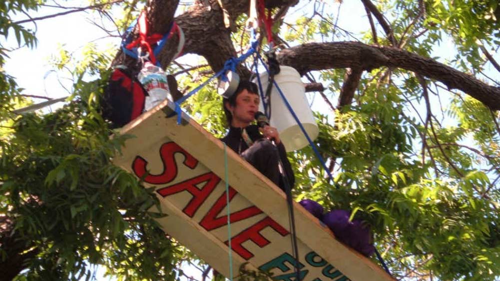 গাছের ডালে বসেই সংবাদমাধ্যমের সঙ্গে যোগাযোগ রেখেছিলেন জুলিয়া। সেখান থেকেই টেলিভিশন শো করা বা প্রতিবাদে অংশ নেন তিনি। তাঁকে গাছ থেকে হঠানোর জন্য পিসিএল-এর তরফে হেলিকপ্টারে করে লোকজন পাঠানো হত বলেও অভিযোগ। তবে সে সবে দমেননি জুলিয়া।