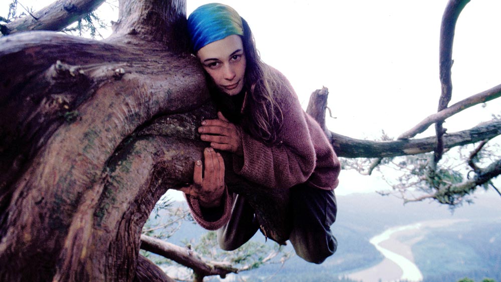 জুলিয়ার কথায়, ‘‘তখন মধ্যরাত। শেষমেশ একটি হুকের সঙ্গে দড়ি বেঁধে ‘লুনা’য় চড়তে শুরু করেছিলাম। উপরে ওঠার সময় মনে হচ্ছিল যেন অনন্তকাল ধরে গাছে চড়ছি।’’ 