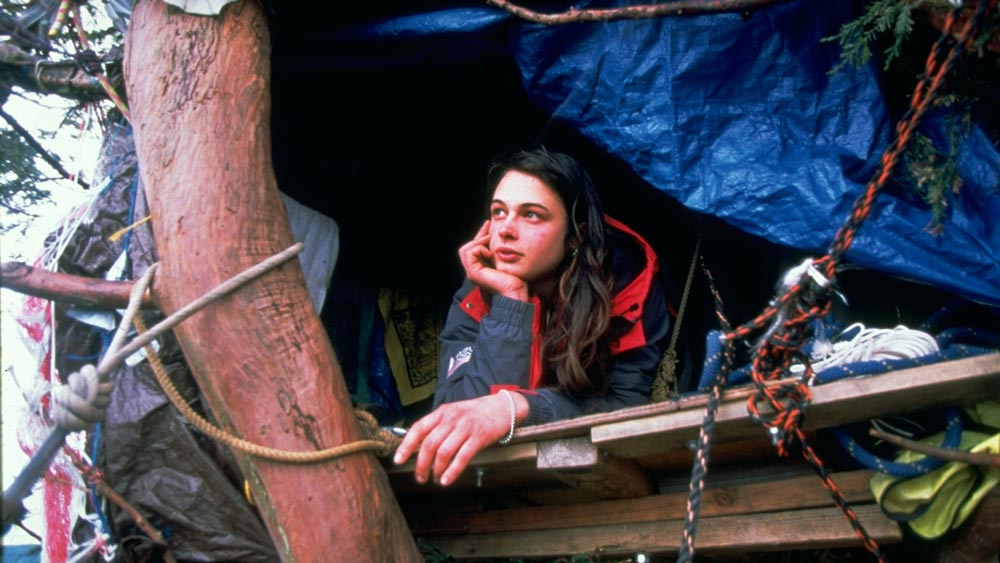 ১৯৯৭ সালের ১০ ডিসেম্বর স্ট্যাফোর্ড জায়ান্টে চড়েন জুলিয়া। তাঁর কথায়, ‘‘গাছে বসার জন্য আর কাউকে খুঁজে না পেয়ে আমাকেই বেছে নেওয়া হয়েছিল।’’ ১৯৯৯ সালের ১৮ ডিসেম্বর পর্যন্ত ওই গাছেই কাটিয়েছিলেন তিনি।