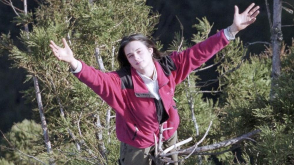 সেরে উঠে একটি ‘রোড ট্রিপ’-এ গিয়েছিলেন জুলিয়া। সে সময় জঙ্গল বাঁচানোর জন্য অর্থ সংগ্রহের কাজও শুরু করেন। তিনি দেখেছিলেন, হামবোল্ট কাউন্টির রেডউড ফরেস্টে একটি বিশালকায় গাছের নীচে পালা করে বসছেন স্থানীয়েরা। উদ্দেশ্য— আমেরিকার প্যাসিফিক লাগার কোম্পানি (পিসিএল)-এর লোকজন যাতে ওই ক্যালিফোর্নিয়ার রেডউড গাছটিকে কেটে না ফেলেন!