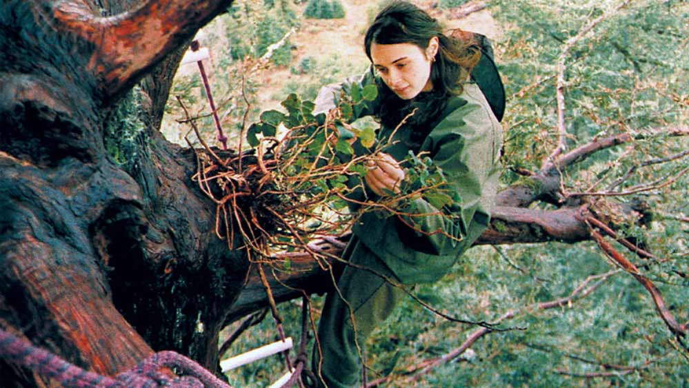 জুলিয়া আরও বলেন, ‘‘জীবনের প্রতিটি মুহূর্তের মূল্য বুঝিয়ে দিয়েছিল ওই গাড়ি দুর্ঘটনাটি। ভবিষ্যতে সদর্থক পদক্ষেপ করতে যা কিছু করতে পারি, তা-ই করার কথা ভেবেছিলাম। যে স্টিয়ারিং হুইলটা মাথায় ঢুকে গিয়েছিল, তা যেন আমার জীবনকে নতুন পথে ঘুরিয়ে দিয়েছিল!’’