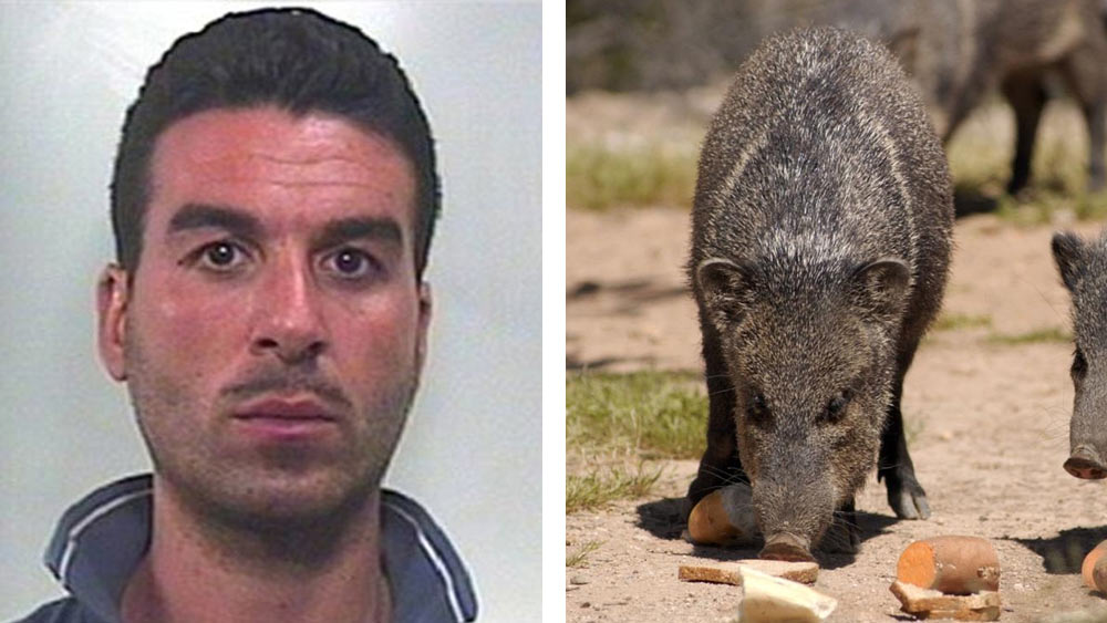 তবে যতই নিদর্শন থাকুক, টেরির মৃত্যুর ঘটনা পৃথিবীর ইতিহাসে অন্যতম নৃশংস এবং মর্মান্তিক মৃত্যুর ঘটনা হিসেবে জায়গা করে নিয়েছে।